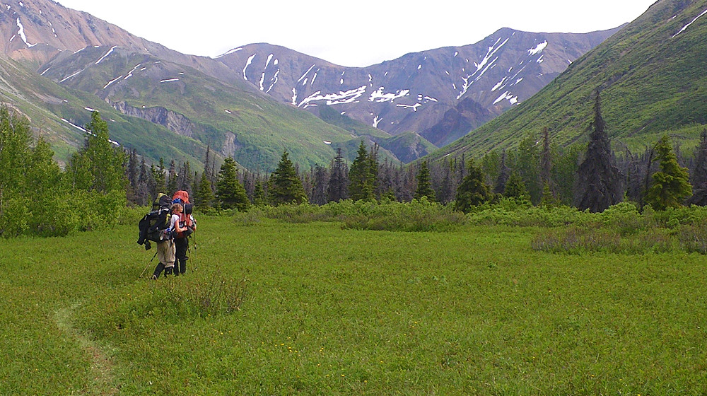Hiking through alpine meadows on a multi-day backpack in Canada