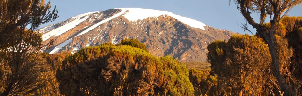 Kilimanjaro_1