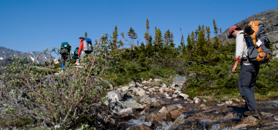 Backpacking_Banner10