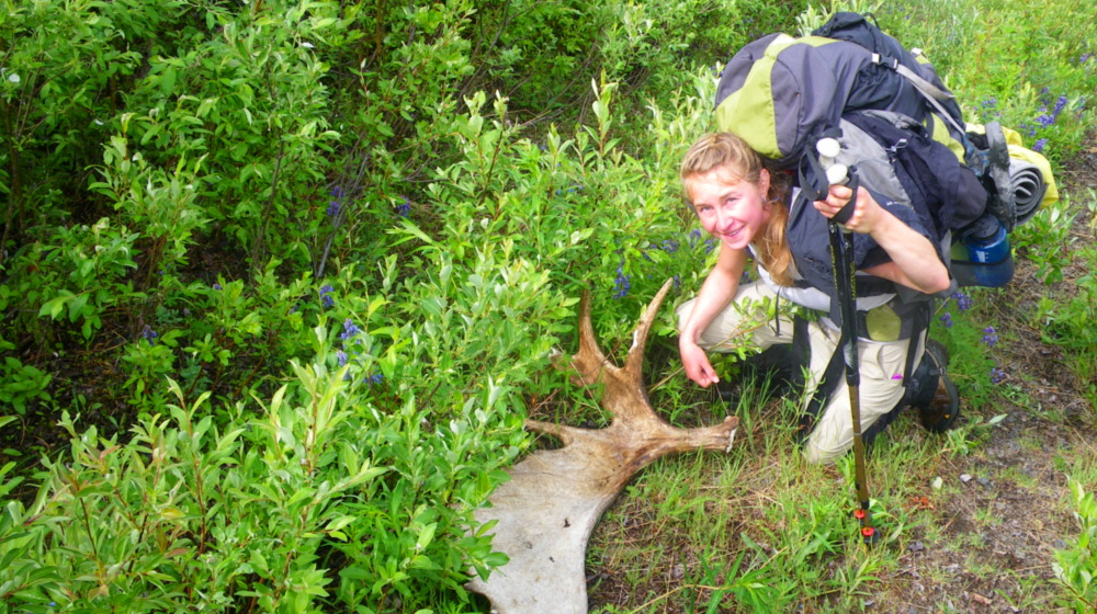Abundant wildlife such as sheep, mountain goats, moose and bear can be spotting throughout this trip