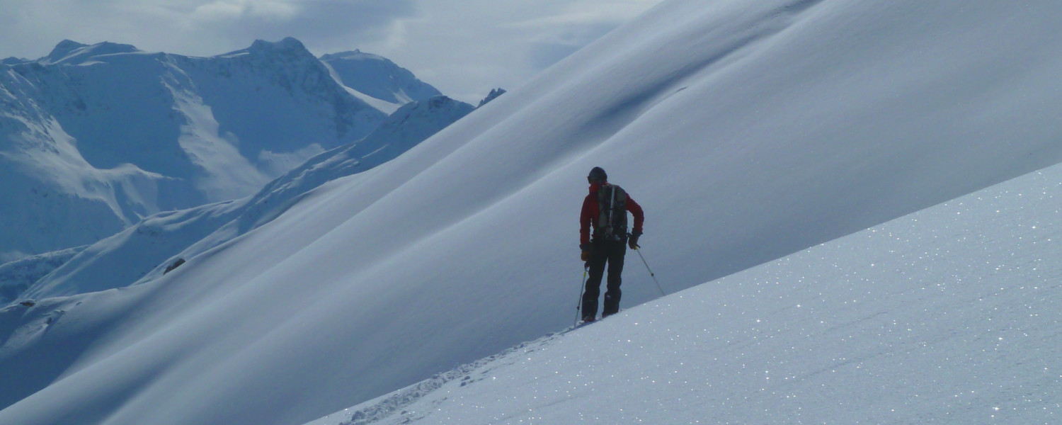Pondering the powder turns below