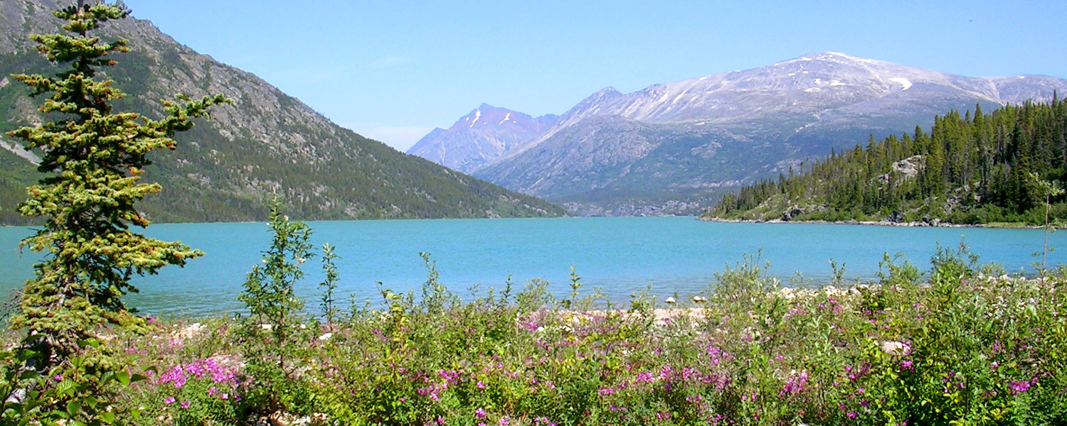 Following in the footsteps of stampeders on the Chilkoot trail looking for gold and gorgeous scenery